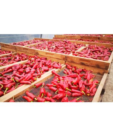 Boomers Gourmet Organic Piment d'Espelette AOP - Authentic Chili Powder 40g | Ideal for Gourmet Cooking - International Shipping Available - Buy Online on GoSupps.com