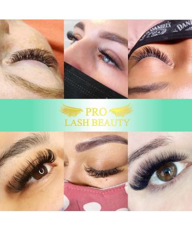 Easy Fan Lashes D-0.05-8-15 Eyelash Extensions C D curl Easy Fan Russian Lashes Self Fanning Lashes Automatic Blooming Lashes(D-0.05 8-15 mix) 8-15mix D-0.05 - Buy Online on GoSupps.com