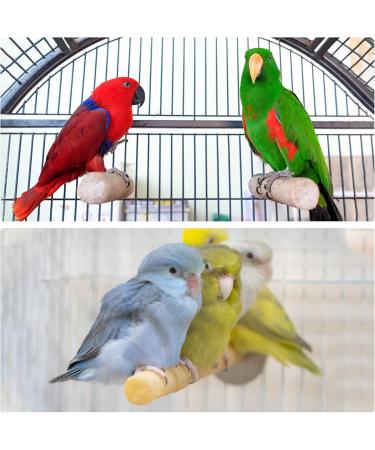 Shop PATICIL 1.1x13.9 Bird Perch Stand - Wood Cage Accessories for Small Birds & Parrots - Buy Online on GoSupps.com