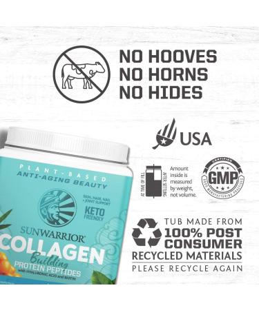 Vegan Collagen Peptides Powder with Biotin & Hyaluronic Acid | Plant-Based Protein for Skin, Hair & Nails - Chocolate Flavor | Sunwarrior 1.1 lb - Buy Online on GoSupps.com