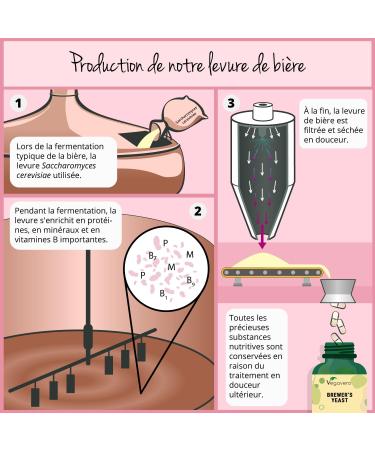 Levure de Bi re Active | Dosage lev : 2500 mg | Cure Cheveux + Ongles + Peau | 120 G lules | 100% Pure & Sans Additifs | Vegan | Vegavero  - Buy Online on GoSupps.com