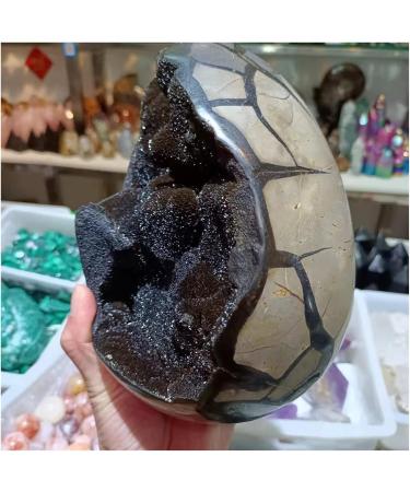 Natural Crystal Rough Crystal Cluster Natural Turtle Back Cracked Stone Crystal Ore Home Office Decoration Longevity Good Luck Stone (Size : 200-250g) - Buy Online on GoSupps.com