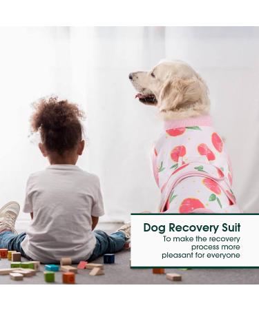 Kuoser Dog Recovery Suit for After Surgery - Breathable Leak-Proof Anti-Licking Body for Male & Female Dogs - Pink XXL - 1 Pack - Buy Online on GoSupps.com