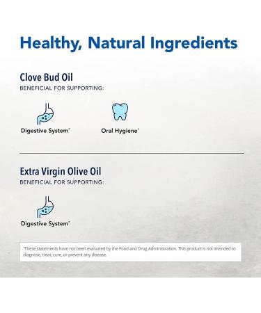 Clovanol Oil of Clove Buds - 1 fl oz | Teeth & Gums Support | Non-GMO, Kosher | 318 Servings - Buy Online on GoSupps.com