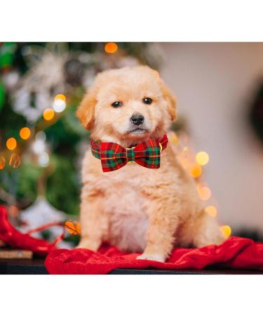 Lionheart Glory Christmas Checkered Dog Collar & Shoe Collar - Adjustable Comfortable Bowtie for Medium Dogs - Red-Green Checkered (1 Pack) - Buy Online on GoSupps.com
