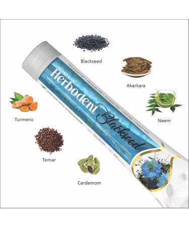 Herbodent Blackseed Toothpaste - Natural Enamel Protection with THYMOQUINONE & 7 Organic Herbs for Sensitivity & Cavities (6.53 oz - Buy Online on GoSupps.com