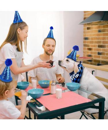 Sunallwell Dog Birthday Bandana & Party Hat Set | Cute Puppy Outfit & Decoration - Buy Online on GoSupps.com