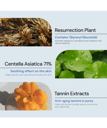 Revival C5 Derma-Clera 24/7 Ampoule 50ml Lightweight Daily Serum - Buy Online on GoSupps.com