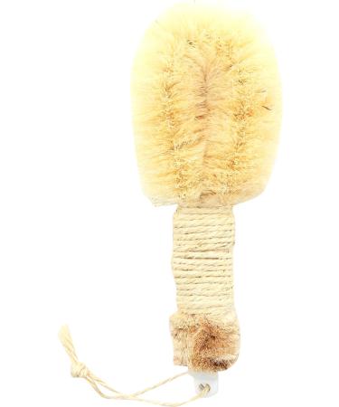 Earth Therapeutics Back Brush - Removable Design | 1 Count - Buy Online on GoSupps.com