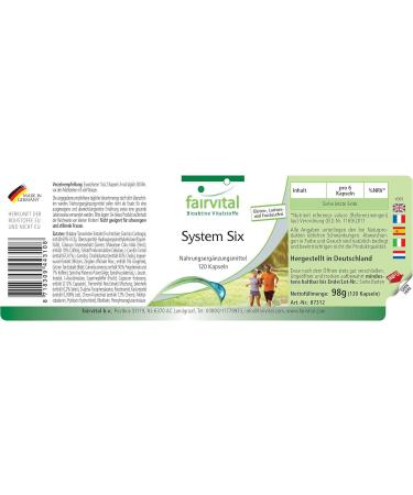 Buy Fairvital System Six Vegan Capsules - 120 Count | Chromium & Garcinia Cambogia for Weight Management - International Shipping Available - Buy Online on GoSupps.com