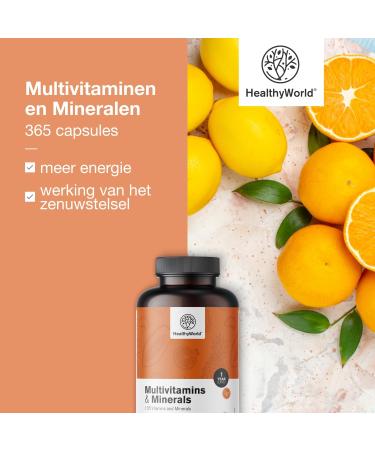 Be Healthy Group doo Multivitamins and Minerals 25 Vitamins and Minerals 365 Capsules 1 Year Supply Vegetable Capsules Immune System Energy Boost Valuable Vitamins from A to Z - Buy Online on GoSupps.com