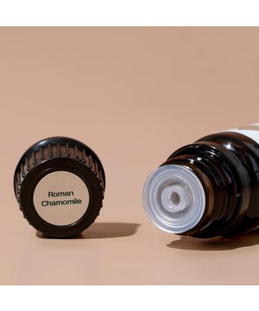 Plant Therapy Roman Chamomile Essential Oil 10 mL (1/3 oz) 100% Pure Undiluted Great for Essential Oil Diffusers Promotes Restful Sleep Supports Healthy Skin - Buy Online on GoSupps.com