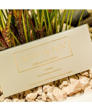 L Ombre Luxury Scented Cleaning Tablets - 4 Count | Makes 4 x 16oz Bottles | Inspired by Baccarat 540 Dior Sauvage Chanel N 5 Creed Aventus - Shop Internationally - Buy Online on GoSupps.com