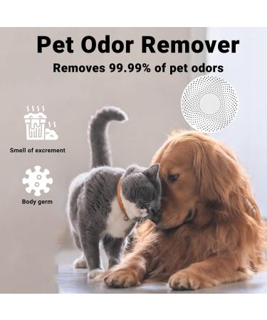 Mknzome Cat Litter Deodorizer - Intelligent Odor Eliminator 99% Deodorization Air Purifier for Cat Toilets & Small Surfaces - Buy Online on GoSupps.com