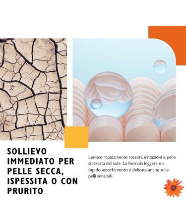  FARMODERM Bioderm Vitamin E Complex 100% Oil - Nourishing and Soothing Oil with Vitamin E | Antioxidant Moisturizer for Dry Sensitive or Irritated Skin | Face and Body Use (20ml) - Buy Online on GoSupps.com