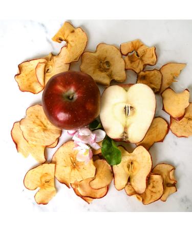 Sisters Fruit Company Apple Chips - All Natural, Gluten-Free, Fat-Free - 6 x 2.25 oz. Bags (Red Delicious) - Buy Online on GoSupps.com