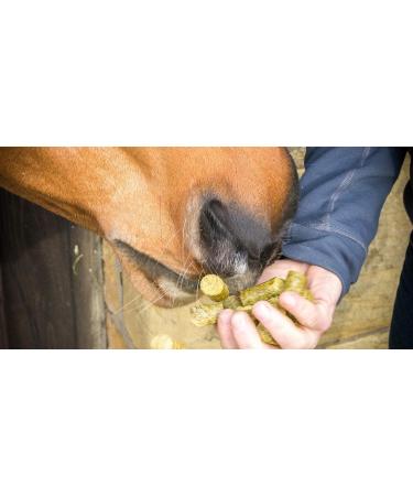 Silvermoor Treatsies Unicorn 1kg Horse Feed Treats - Buy Online on GoSupps.com