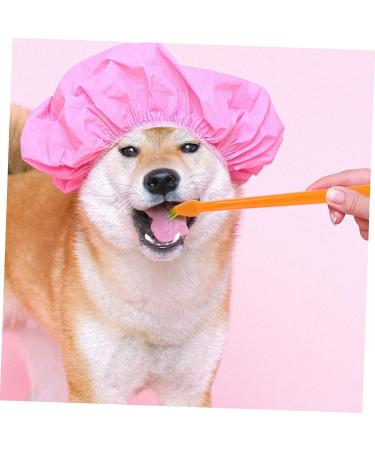 Housoutil Cat Chew Toothbrush 1 Set Pet Toothbrush Toothbrushes Dog Toothpaste Pet Tooth Care Brush Toothbrush Set The Dog - Buy Online on GoSupps.com