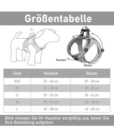 UVTQSSP Gray Dog Harness for Small Dogs with Leash Padded Puppy Harness XS - Comfortable & Stylish - Buy Online on GoSupps.com