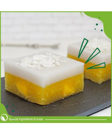 Special Ingredients Agar Agar en poudre 100g - G latine v g tale - G lifiant et paississant alimentaire pour v g taliens et v g tariens sans OGM sans gluten - Qualit sup rieure 100 g (Lot de 1) - Buy Online on GoSupps.com