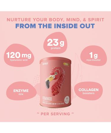 BIRDMAN Fitmingo Vegan Protein Powder | 23g Low Carb Dairy Free Vanilla Protein with Inositol & Collagen Boosters | 15 Servings - Buy Online on GoSupps.com