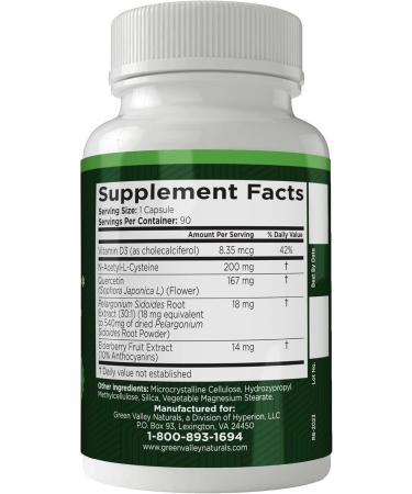 GREEN VALLEY NATURALS My Sinus Miracle Herbal Supplement 90 Capsules (1) - Buy Online on GoSupps.com