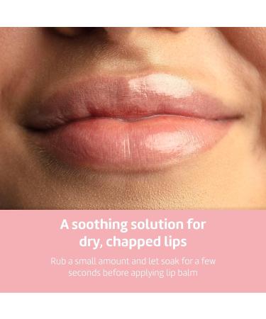 De La Cruz Castor Oil - 100% Pure USP Grade for Hair Skin Eyelashes & Eyebrows - 3 Glass Bottles (2 FL Oz - Buy Online on GoSupps.com