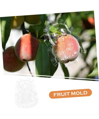 ORFOFE 2pcs Shaped Growth Fruit Buddha Baby Shaper Small Watermelon Accessories - Buy Online on GoSupps.com