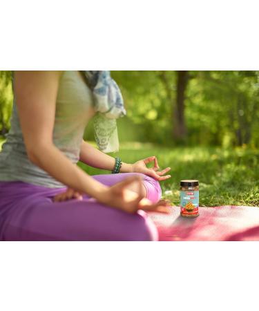 Sattviko GUR CHANA SUPERSHOTS Pack of 5 1 - Buy Online on GoSupps.com