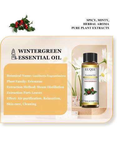 EUQEE Wintergreen Essential Oil 10ml Pure Natural Wintergreen Oils Aromatherapy Essential Oils for Diffusers for Home Relax Humidifiers Wintergreen 10 ml (Pack of 1) - Buy Online on GoSupps.com