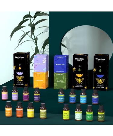 Floral Citrus Fragrance Oil Set for Waterless Diffusers Refill Oil for Nano-Mist Oil-Vaporizing Diffusers - Long Lasting Fragrance for Home Office Spa Floar AC 0.68 Fl Oz (Pack of 8) - Buy Online on GoSupps.com