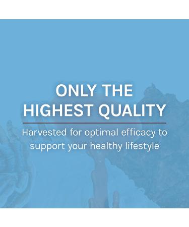 Fungi Perfecti Myco Botanicals Complete Calm 3.5 oz - Premium Mushroom Supplement for Relaxation - Buy Online on GoSupps.com