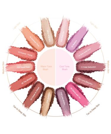 Oulac Rouge Powder Blush - Gentle Shimmer Highly Pigmented Vegan & Animal Test-Free 4.8g - Love Attraction (F01) for Durable Eyes Cosmetics - Buy Online on GoSupps.com