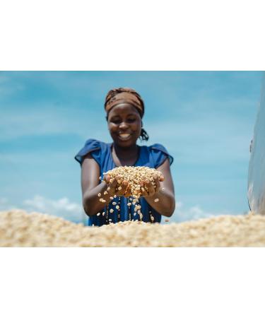 JR SPECIALTY COFFEE Medium Roast Coffee Beans 100% Arabica Single Origin from Rwanda 250g Bag - Buy Online on GoSupps.com