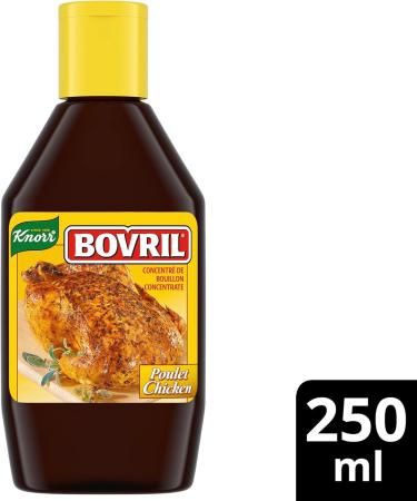 Knorr Bovril Liquid Bouillon Concentrate for a delicious chicken broth Chicken Flavour in a practical bottle 250 ml Chicken 250 ml (Pack of 1) - Buy Online on GoSupps.com