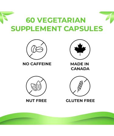 REFINE NATURALS 2-in-1 Probiotic Supplement for Gut and Brain Health | Digestive Supplements Gastro Relief | Support Capsule with 3 Billion Active Cells | for Women and Men to Improve Gut Health and Memory | 30 Vegetarian Capsules - Buy Online on GoSupps.com