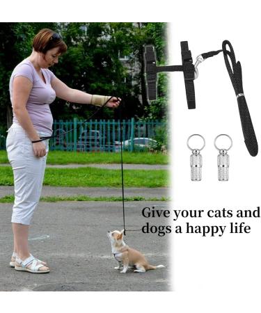 Jocxzi Adjustable Cat Leash & Vest Set - 2 Pack Harness Outbreak-Proof Pet ID Tags Black Cat Dishes - Ideal for International Shipping - Buy Online on GoSupps.com