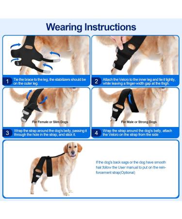 OaheLake Dog Knee Brace for Torn ACL Hind Leg Dog Hip Shoulder Elbow brace Support Dogs with ACL CCL Cruciate Ligament Injuries Patella Dislocation or Osteoarthritis for Both Back and Front Legs X-Large - Buy Online on GoSupps.com
