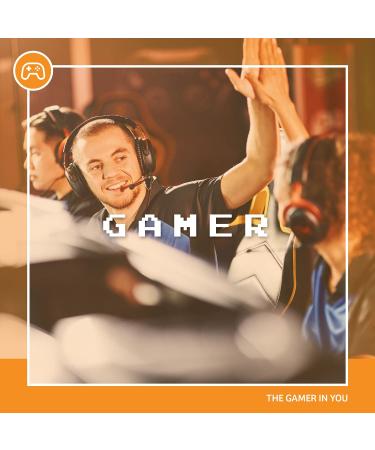 Powerbeaous Gamer Gummy Bears - 40x50g Tetris Shaped 20% Juice & Vitamins 8 Fruity Flavors | International Shipping - Buy Online on GoSupps.com