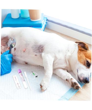 Dog Pregnancy Kit - Early Pregnancy Test Strip for Dogs - Health Products & Tools - Buy Online on GoSupps.com