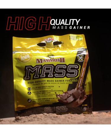 MAMMOTH Mass Weight Gainer Powder 15lb - High Calorie Protein Shake for Weight Training | Low Sugar, Whey Isolate & Casein Protein Blend | Vanilla Flavor - Buy Online on GoSupps.com