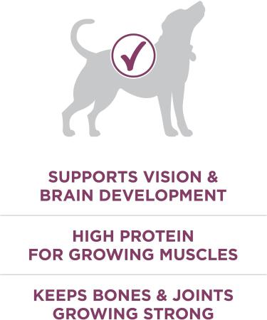 Purina ONE +Plus Dry Puppy Food with Lamb - 6 kg Bag 6 kg (Pack of 1) Dog Food - Buy Online on GoSupps.com