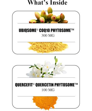 Durable CoQ10 300mg Coenzyme Q10 Phytosome with 9X Better Absorption + Quercetin Heart Energy & Cellular Support Doctor Formulated Vegan Non-GMO Made in USA Once-Daily (30 Capsules) 30 Count (Pack of 1) - Buy Online on GoSupps.com