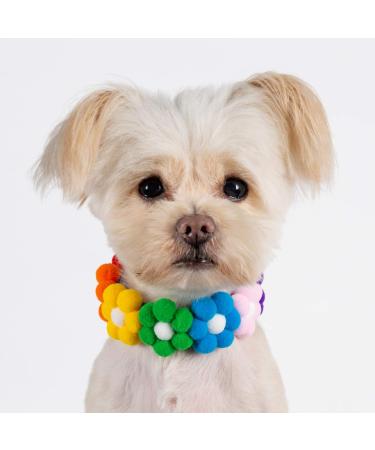 Shop Pawhits 2pcs Rainbow Hairball Flower Pet Necklace - Stylish Velcro Neck Strap for Dogs & Cats - Costume Accessories - Buy Online on GoSupps.com