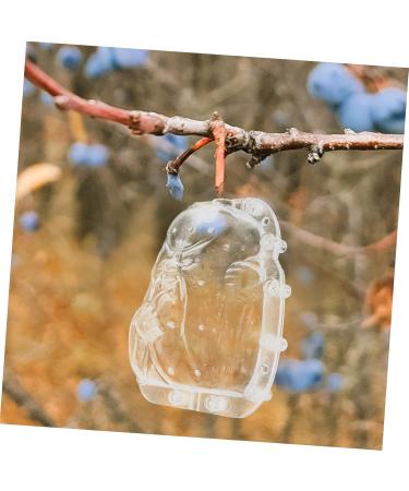Happyyami 5pcs Fruit Shaping Watermelon Transparent Forming Stereotypes Ginseng Fruit - Buy Online on GoSupps.com