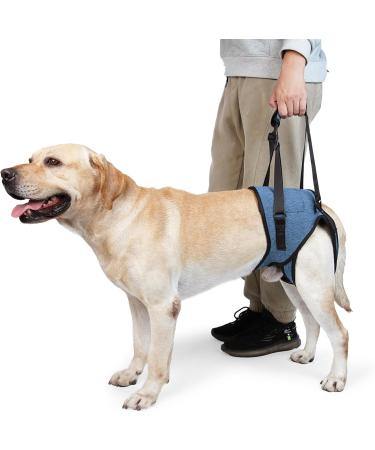 Buy Dotoner Dog Lifting Harness - Support for Injured Dogs | Soft Loop for Small to Large Breeds | Adjustable & Comfortable | Blue L Size - Buy Online on GoSupps.com
