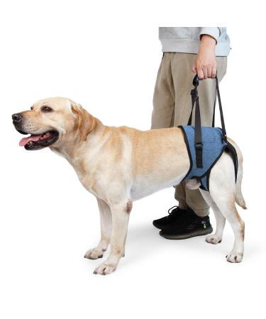 Dotoner dog lifting harnesses dog food dishes for the hind legs soft dog support loop for injured disabled small medium and large dogs dog crossing for the hind legs (blue L) L (1 Pack)