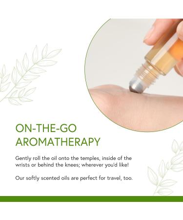 Honeybee Gardens Crystal Infused Body Oil Rollerball, Garnet, Organic, Moisturizing, Non-Greasy, for All Skin Types, 2 Fl Oz rbgarnet 0.34 Fl Oz (Pack of 1) - Buy Online on GoSupps.com