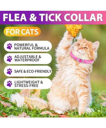 Flea & Tick Collar for Cats - Waterproof Adjustable 24-Month Protection | International Shipping - Buy Online on GoSupps.com