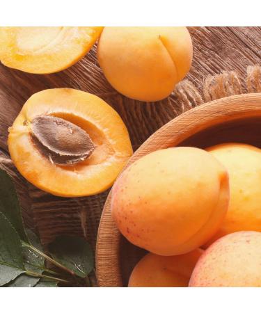 Naissance Apricot Kernel Oil 225ml - Premium Apricot Oil for Face Body Massage Skin Hair & Nail Care - 100% Natural - Buy Online on GoSupps.com